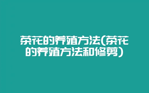 茶花的养殖方法(茶花的养殖方法和修剪)-会东网