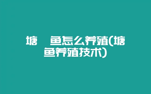 塘鳢鱼怎么养殖(塘鳢鱼养殖技术)-会东网