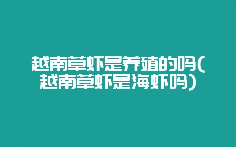 越南草虾是养殖的吗(越南草虾是海虾吗)插图 越南草虾是养殖的吗(越南草虾是海虾吗)插图
