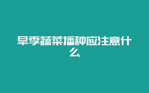 旱季蔬菜播种应注意什么-会东网