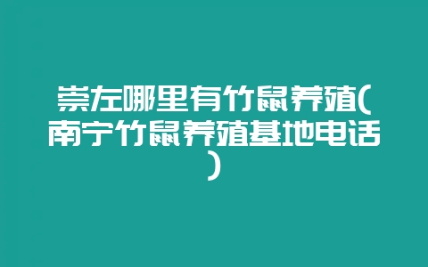 崇左哪里有竹鼠养殖(南宁竹鼠养殖基地电话)插图 崇左哪里有竹鼠养殖(南宁竹鼠养殖基地电话)插图