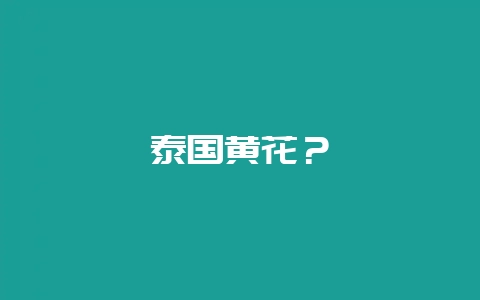 泰国黄花？-会东网