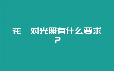 花卉对光照有什么要求?-会东网