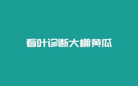 看叶诊断大棚黄瓜-会东网