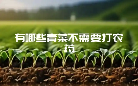 有哪些青菜不需要打农药插图 有哪些青菜不需要打农药插图