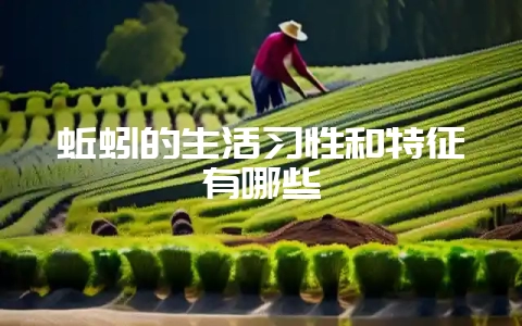 蚯蚓的生活习性和特征有哪些-会东网