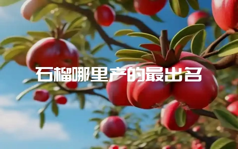 石榴哪里产的最出名-会东网