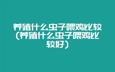 养殖什么虫子喂鸡比较(养殖什么虫子喂鸡比较好)插图 养殖什么虫子喂鸡比较(养殖什么虫子喂鸡比较好)插图