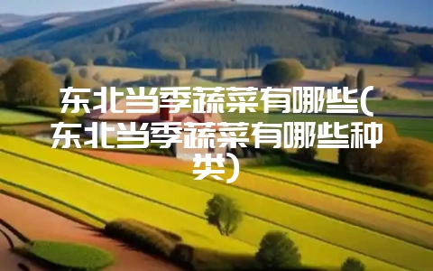 东北当季蔬菜有哪些(东北当季蔬菜有哪些种类)-会东网