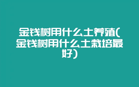 金钱树用什么土养殖(金钱树用什么土栽培最好)-会东网