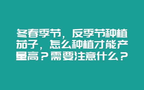 冬春季节，反季节种植茄子，怎么种植才能产量高？需要注意什么？-会东网