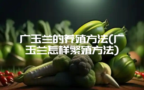 广玉兰的养殖方法(广玉兰怎样繁殖方法)-会东网
