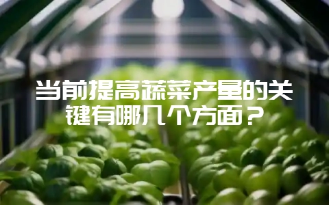 当前提高蔬菜产量的关键有哪几个方面？-会东网