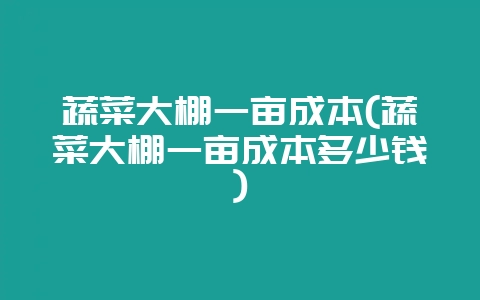 蔬菜大棚一亩成本(蔬菜大棚一亩成本多少钱)-会东网