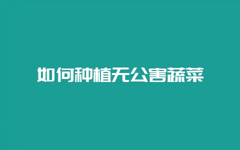 如何种植无公害蔬菜-会东网