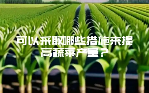 可以采取哪些措施来提高蔬菜产量？-会东网
