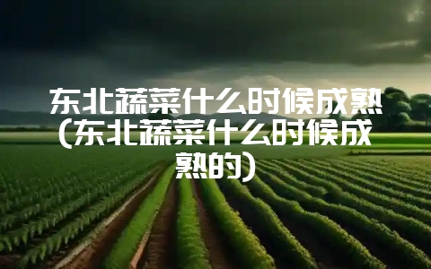 东北蔬菜什么时候成熟(东北蔬菜什么时候成熟的)-会东网