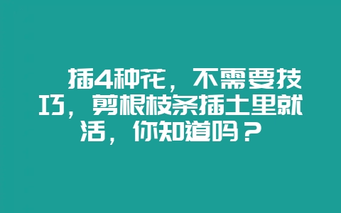 扦插4种花，不需要技巧，剪根枝条插土里就活，你知道吗？-会东网