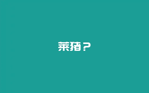莱猪?插图 莱猪?插图