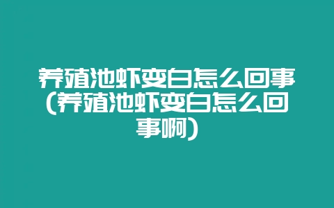 养殖池虾变白怎么回事(养殖池虾变白怎么回事啊)插图 养殖池虾变白怎么回事(养殖池虾变白怎么回事啊)插图