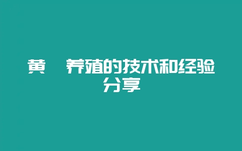 黄鳝养殖的技术和经验分享-会东网