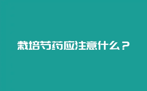 栽培芍药应注意什么？-会东网