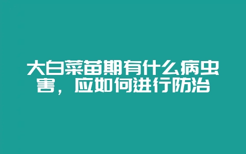 大白菜苗期有什么病虫害,应如何进行防治插图 大白菜苗期有什么病虫害,应如何进行防治插图