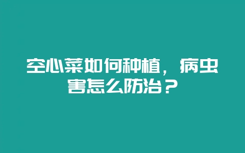 空心菜如何种植,病虫害怎么防治?插图 空心菜如何种植,病虫害怎么防治?插图