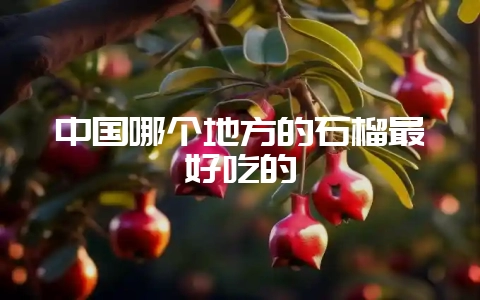 中国哪个地方的石榴最好吃的-会东网