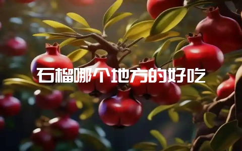 石榴哪个地方的好吃-会东网