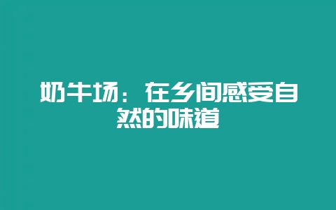 奶牛场:在乡间感受自然的味道插图 奶牛场:在乡间感受自然的味道插图