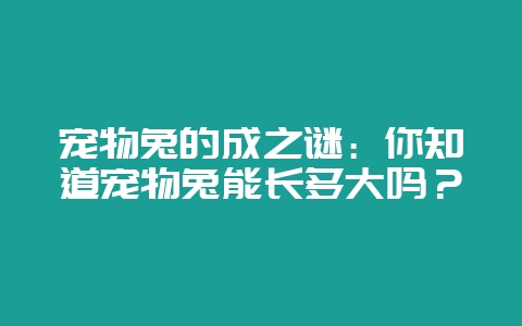 宠物兔的成之谜:你知道宠物兔能长多大吗?插图 宠物兔的成之谜:你知道宠物兔能长多大吗?插图