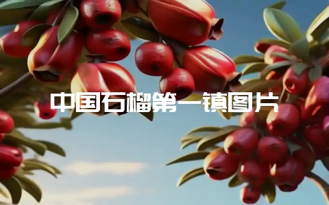 中国石榴第一镇图片-会东网