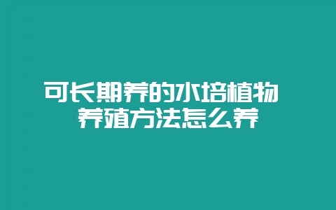可长期养的水培植物 养殖方法怎么养-会东网