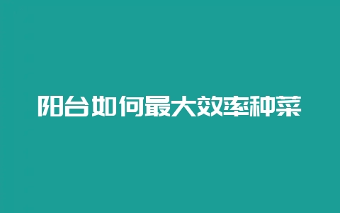 阳台如何最大效率种菜-会东网