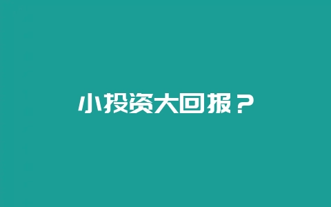 小投资大回报？-会东网