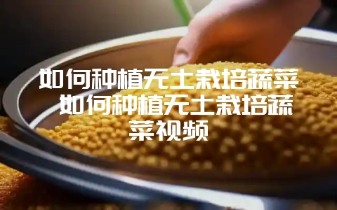 如何种植无土栽培蔬菜 如何种植无土栽培蔬菜视频-会东网