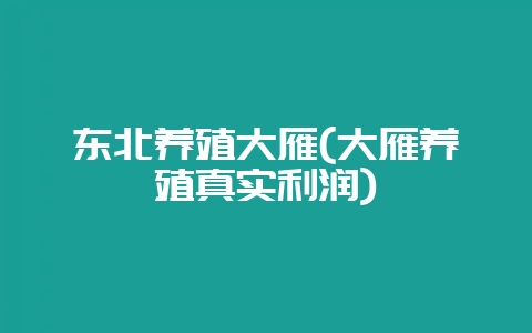东北养殖大雁(大雁养殖真实利润)-会东网