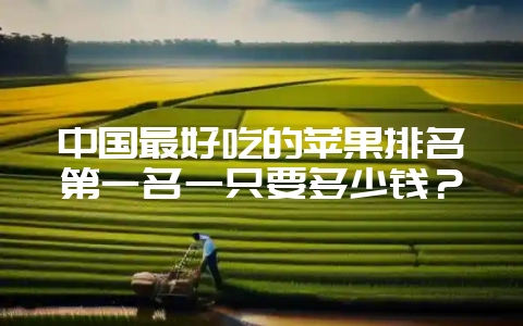 中国最好吃的苹果排名第一名一只要多少钱？-会东网