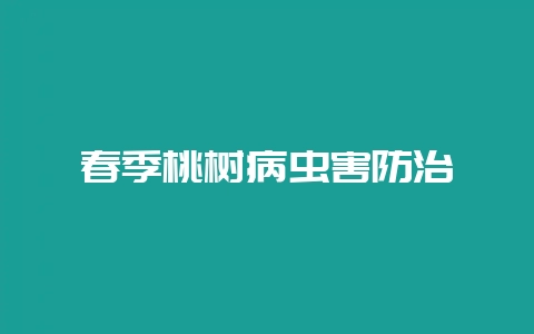 春季桃树病虫害防治-会东网