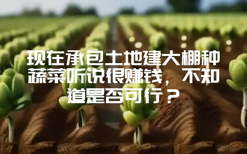 现在承包土地建大棚种蔬菜听说很赚钱,不知道是否可行?插图 现在承包土地建大棚种蔬菜听说很赚钱,不知道是否可行?插图