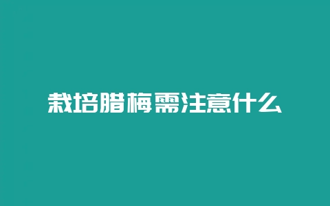 栽培腊梅需注意什么-会东网