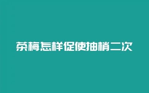 茶梅怎样促使抽梢二次-会东网