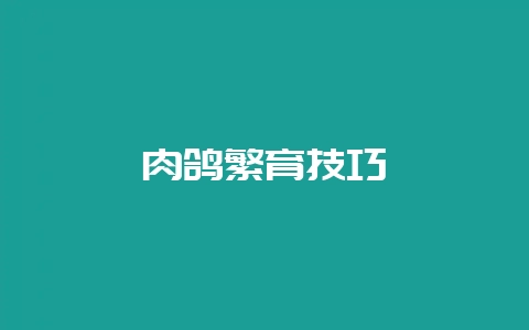 肉鸽繁育技巧-会东网
