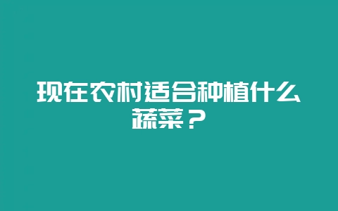 现在农村适合种植什么蔬菜？-会东网