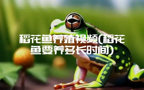 稻花鱼养殖视频(稻花鱼要养多长时间)插图 稻花鱼养殖视频(稻花鱼要养多长时间)插图