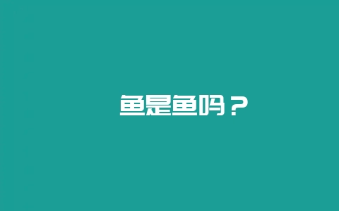 鲍鱼是鱼吗?插图 鲍鱼是鱼吗?插图