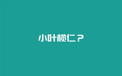 小叶榄仁？-会东网
