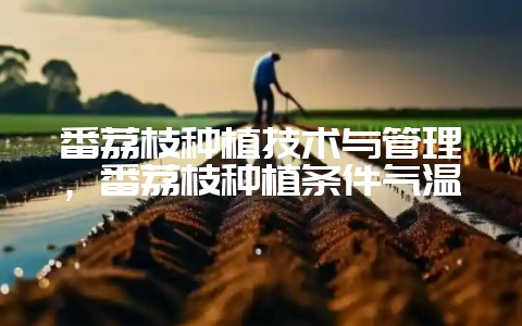 番荔枝种植技术与管理，番荔枝种植条件气温-会东网