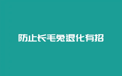防止长毛兔退化有招-会东网